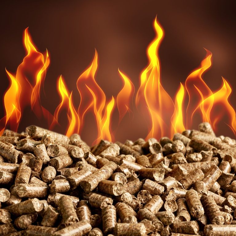 Bûches de bois empilées avec des flammes dansantes en arrière-plan.